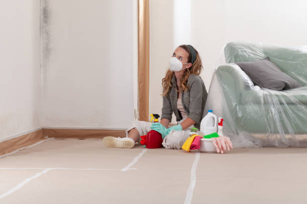 Reliable Mold Cleanup contractor in Elizabeth, CO by WQB Mold Removal